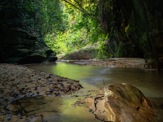 Tropical Jungle Stream Flowing Through Lush Green Forest. 