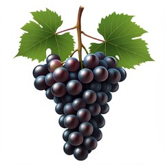 Fototapeta premium bunch of grapes