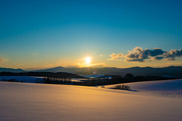 Fototapeta premium 美瑛 冬の夕暮れ