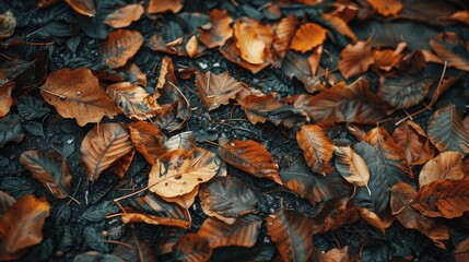 Autumn leaves in warm earthy tones scattered on the ground.