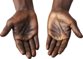 Outstretched hands with open palms on transparent background, detailed close-up. Human anatomy and diversity concept