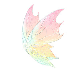 Fototapeta premium Side view colorful pastel butterfly wings icon clipart cartoon, fantasy and dreamlike