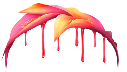 Vibrant Heliconia Petals with Dripping Paint Effect on white and transparent background. PNG