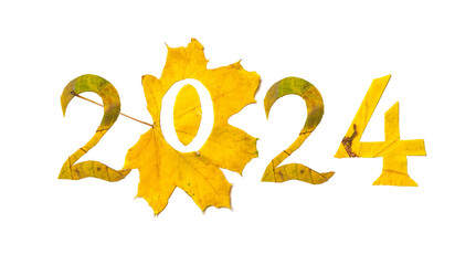 2024 numbers carved from yellow maple leaves