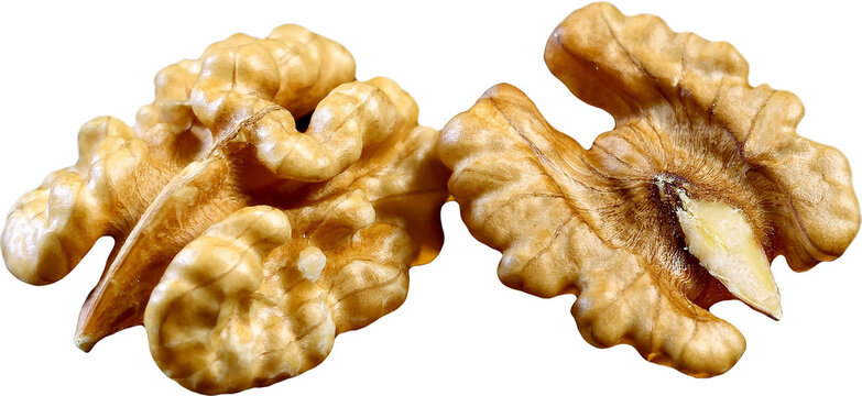 Walnut png cutout transparent isolated