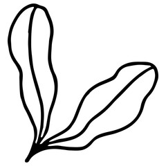 Simple Line Art Leaf