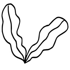 Simple Line Art Leaf