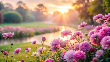 Obraz premium A serene landscape of a garden at dawn with soft pink hues and dew-kissed flowers, flowers blooming, nature