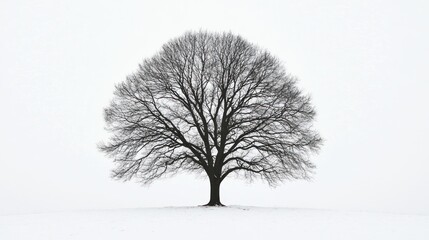 Fototapeta premium A solitary tree stands in a snowy landscape, evoking tranquility and solitude.