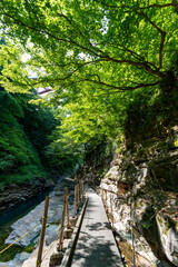 初夏の小安峡