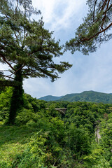初夏の鳴子峡