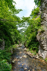 初夏の鳴子峡