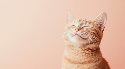 Obraz premium A happy ginger cat with closed eyes, enjoying the moment against a soft, peach-colored background. Perfect for pet and animal-themed designs.