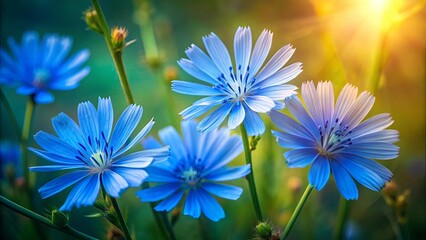 Fototapeta premium Delicate Blue Flowers Bask in the Warm Glow of a Sun-Kissed Meadow