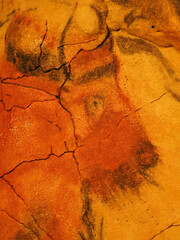 detail of the head of a bison in the altamira neocave