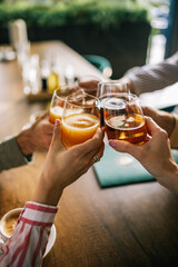 Group of friends toasting with drinks in a pub.