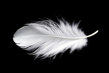 Obraz premium A white feather glides gently, beautifully contrasting with the dark background, symbolizing purity and calm