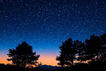 Fototapeta premium A serene night sky filled with stars above silhouette trees and a fading sunset.