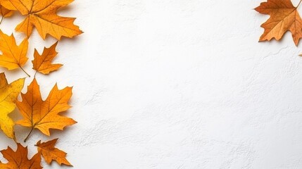 Autumn Leaves Border on White Background   Fall Foliage  Nature  Thanksgiving Design