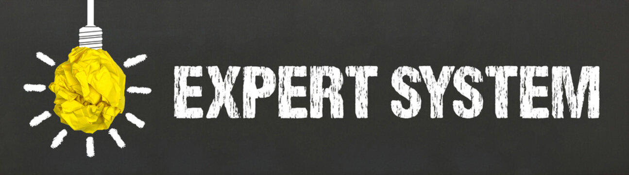 Expert System	