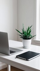 Minimalist Desktop Setup with Green Plant