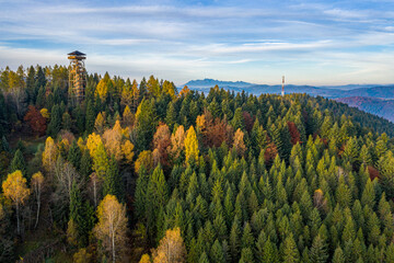 Małopolska, Beskid Sądecki, Góra Malnik