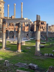 ruins of roman forum city