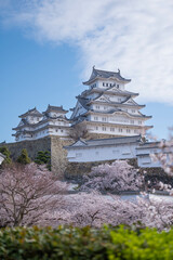 Naklejka premium 姫路城7