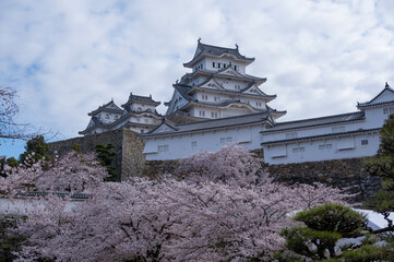 Naklejka premium 姫路城2