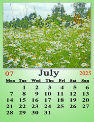 July calendar 2025 with photo of blooming daisies in summer field