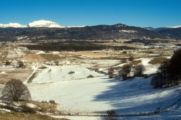 Plateau du Vercors, Parc naturel régional du Vercors, 38, Isère, France