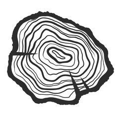 Fototapeta premium Wood stump with cracks. Wooden texture on circle slab. Tree rings on trunk. Hand drawn vector illustration isolated on white background. Monochrome black and white drawing.