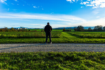Fototapeta premium The painting shows a forest entrance in a Swiss forest near Kreuzlingen. The photo was taken before sunset in autumn. The photo shows a man standing in the middle of the road