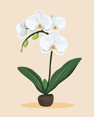 White orchid illustration with green leaves in brown pot