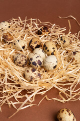 Fototapeta premium Quail eggs from above on brown background. Beautiful composition with quail eggs.