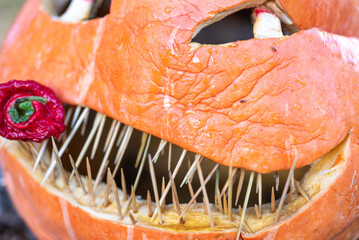 beautiful Halloween pumpkin, carved pumpkin for Halloween celebration