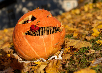 beautiful Halloween pumpkin, carved pumpkin for Halloween celebration