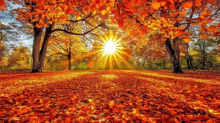 Obraz premium Beautiful autumn clearing in a forest, with rich hues of orange and yellow leaves on the ground and a peaceful, sunlit atmosphere