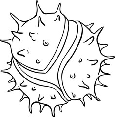 Chestnut Nut Outline Illustration. 
