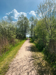 Spring Path to the Lake through Green Forest - Natural Trail in Masuria, Poland