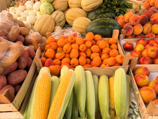 fresh homegrown seasonal summer fruits and vegetables at outdoor market stall in Zadar, Croatia