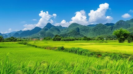 natural scenery