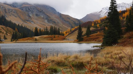 natural scenery