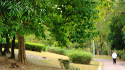 a person enjoying a walk in a natural park with a fresh breeze