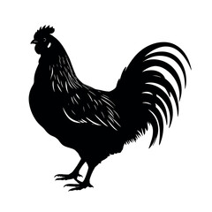 A chicken silhouette isolated white background
