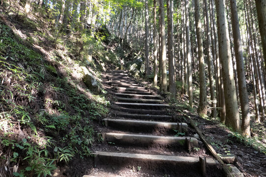 日の出山の道中