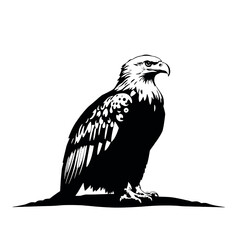 a Golden eagle sitting on the ground silhouette