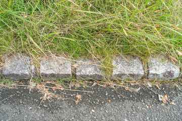 住宅の庭の雑草