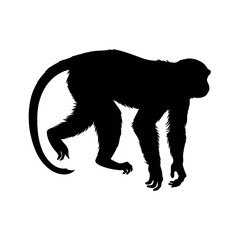 a monkey vector silhouette, fill with black color isolated white background