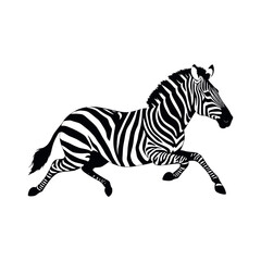 a running zebra animal vector silhouette isolated white background